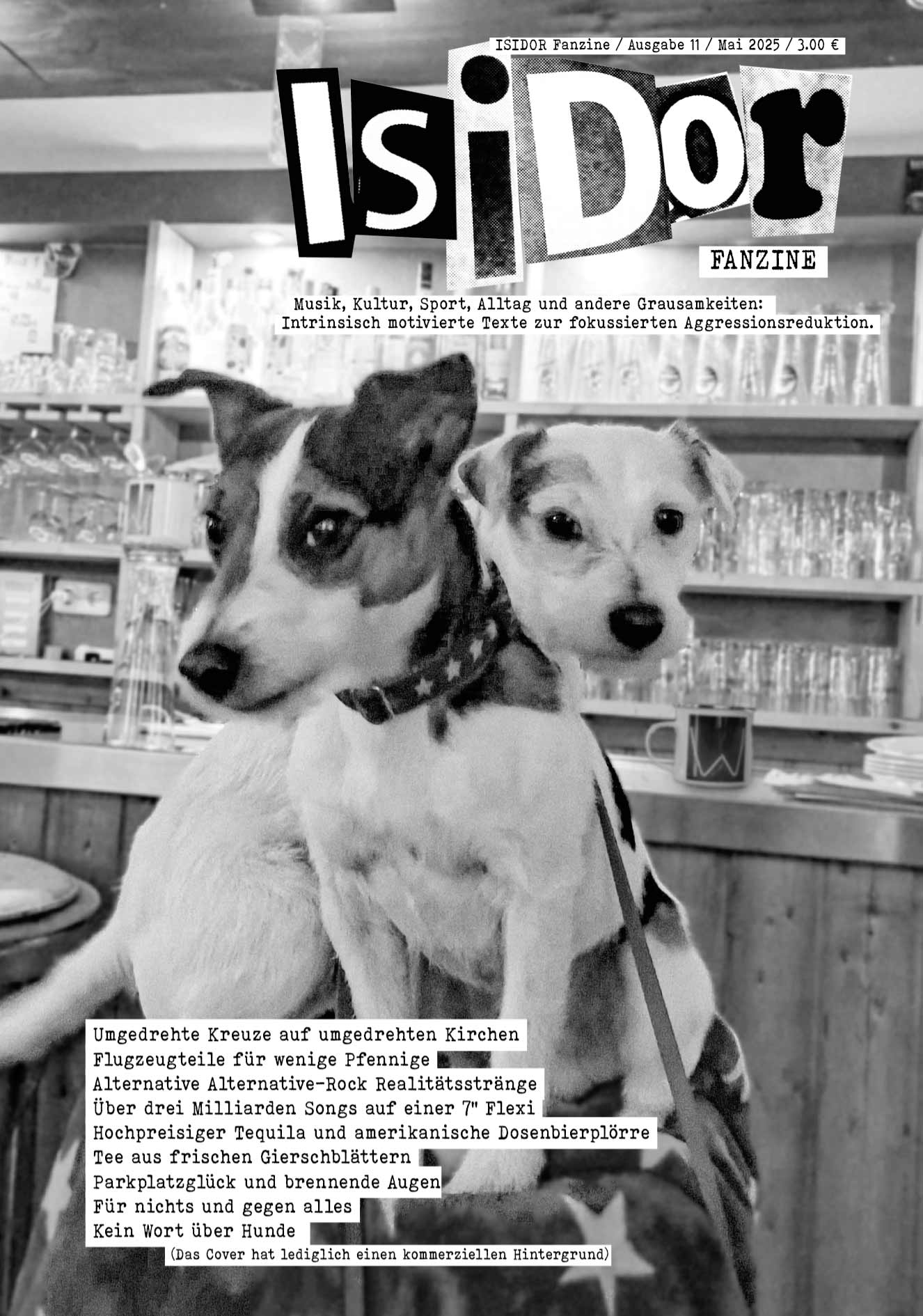 Bernd Spring, Kai Eric Ellermann, David Staege: Isidor Fanzine - Ausgabe 11 (Paperback, Deutsch language)